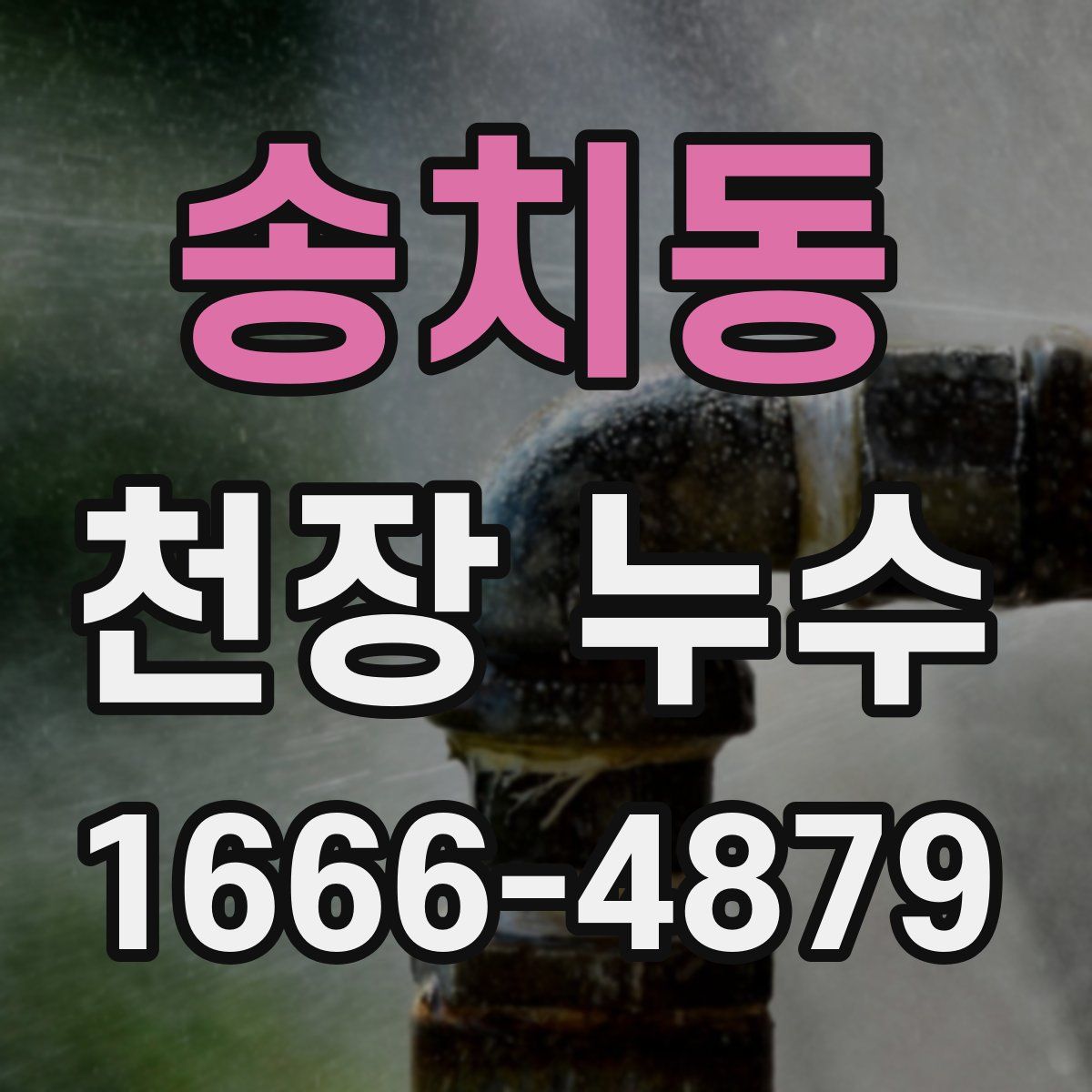 송치동 천장 누수