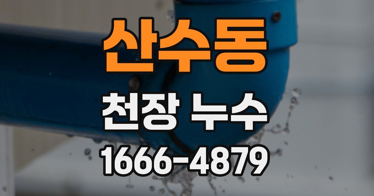 산수동 천장 누수