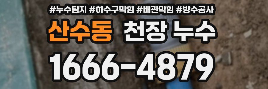 산수동 천장 누수