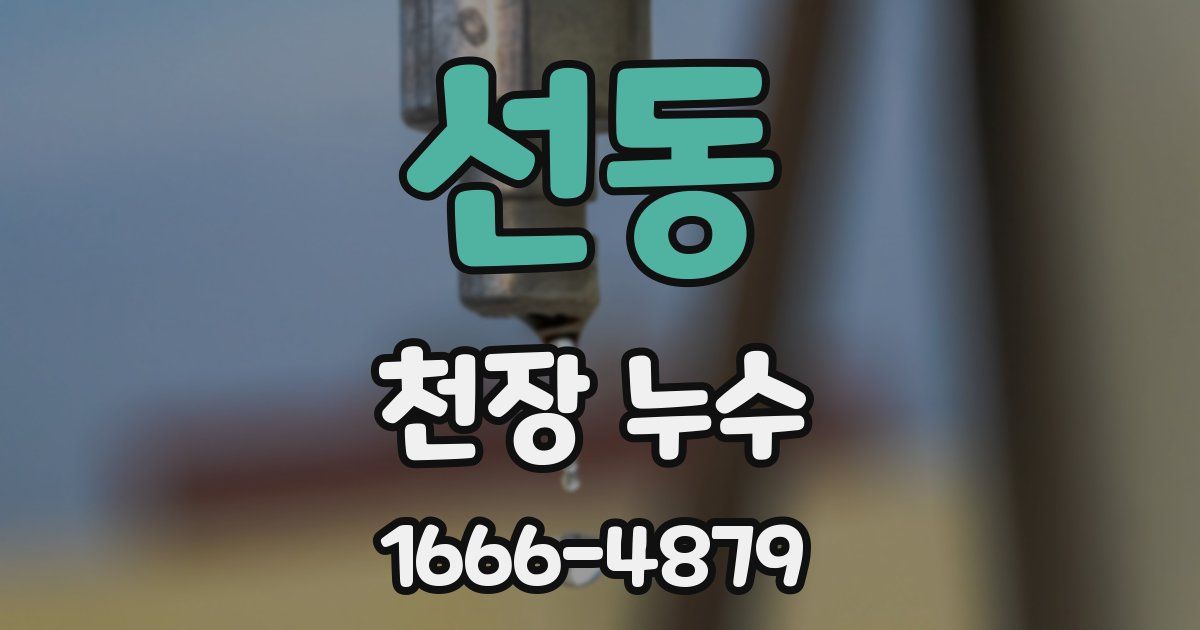 선동 천장 누수