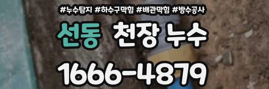 선동 천장 누수