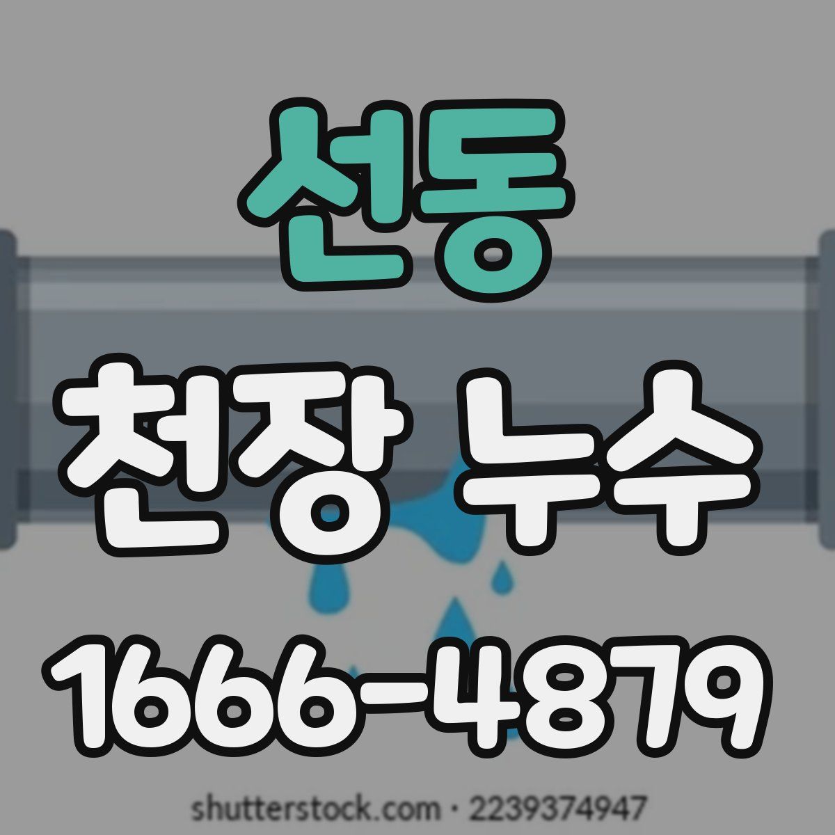 선동 천장 누수