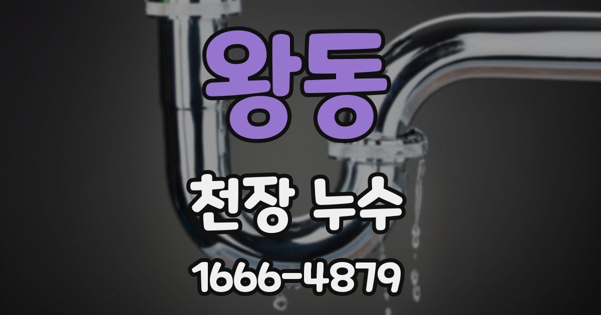 왕동 천장 누수