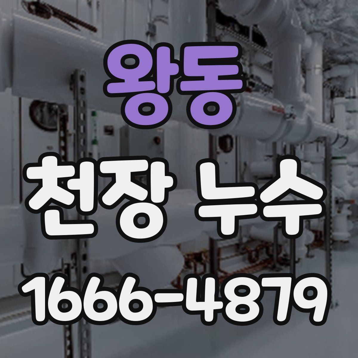 왕동 천장 누수