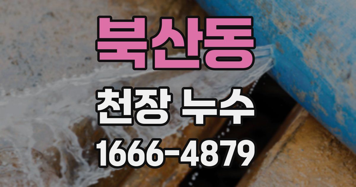 북산동 천장 누수