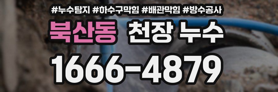북산동 천장 누수