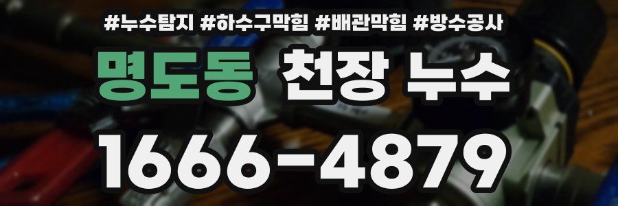 명도동 천장 누수