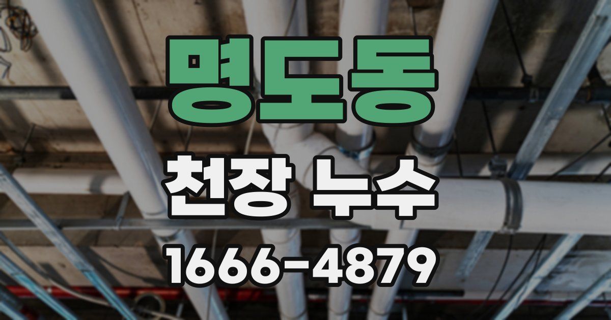 명도동 천장 누수