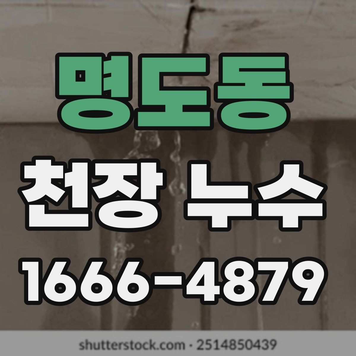 명도동 천장 누수