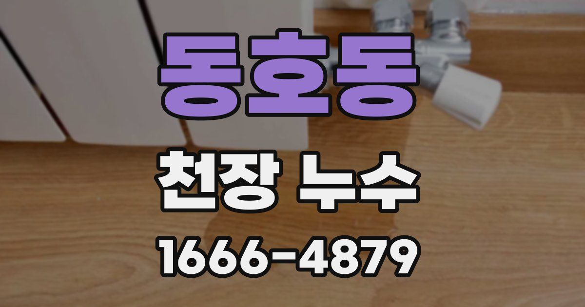 동호동 천장 누수