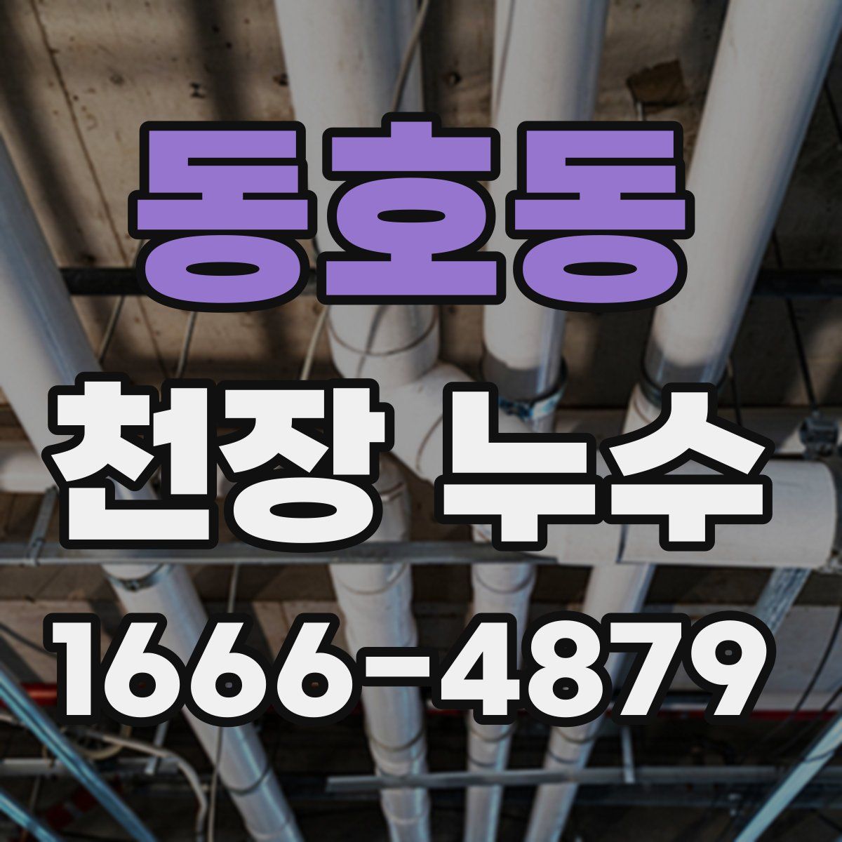 동호동 천장 누수