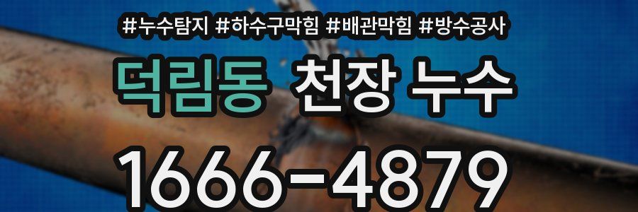 덕림동 천장 누수