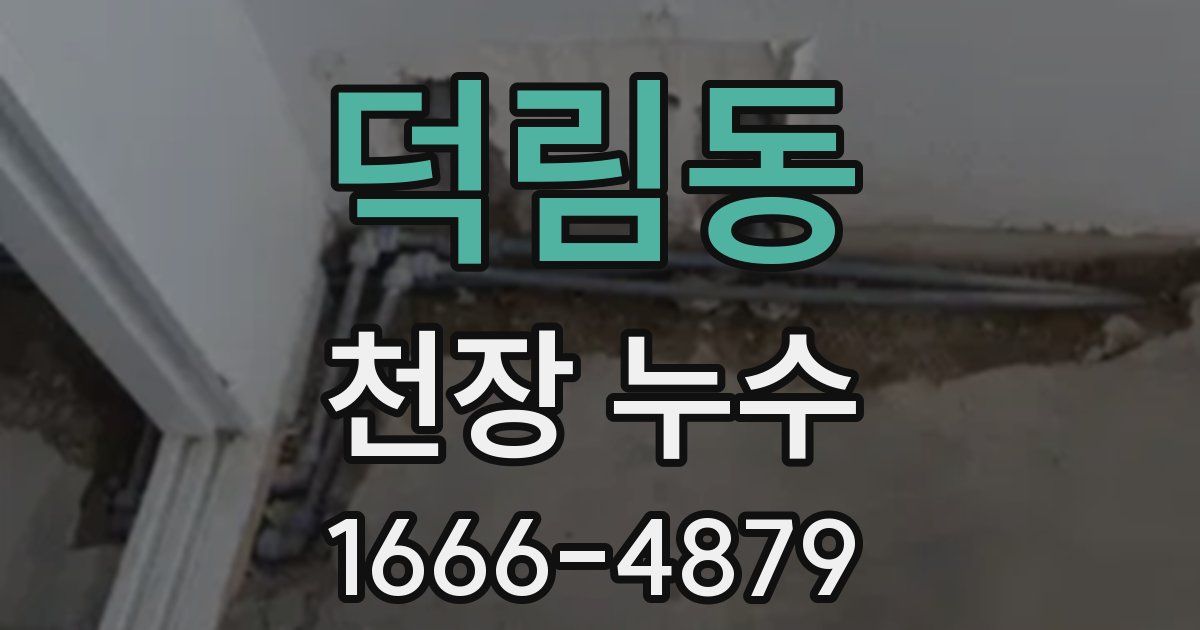 덕림동 천장 누수