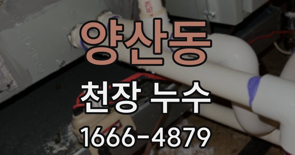양산동 천장 누수