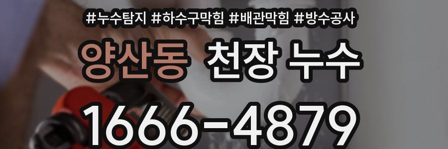 양산동 천장 누수