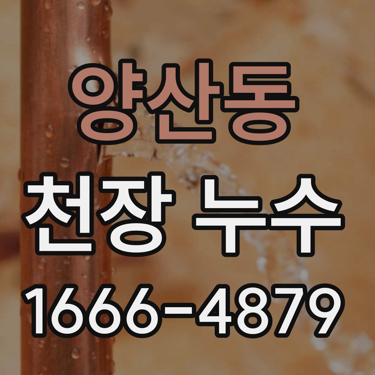 양산동 천장 누수