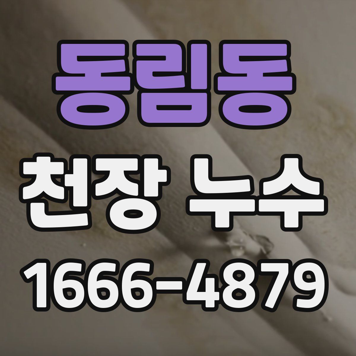 동림동 천장 누수