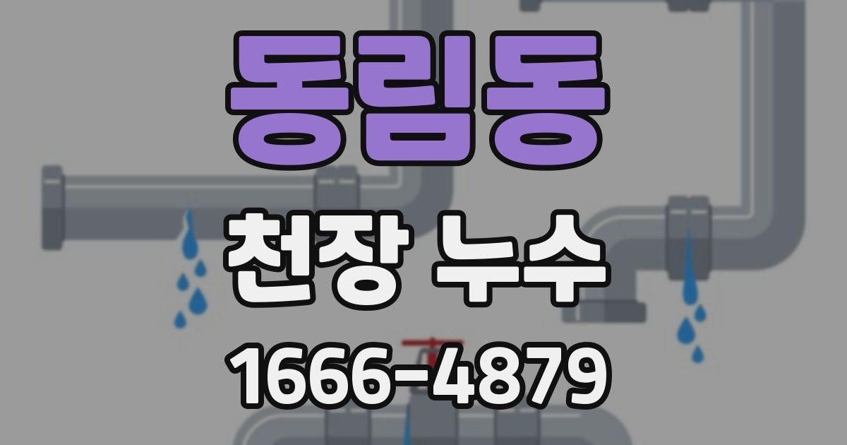동림동 천장 누수