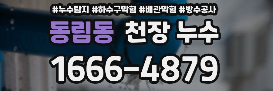 동림동 천장 누수