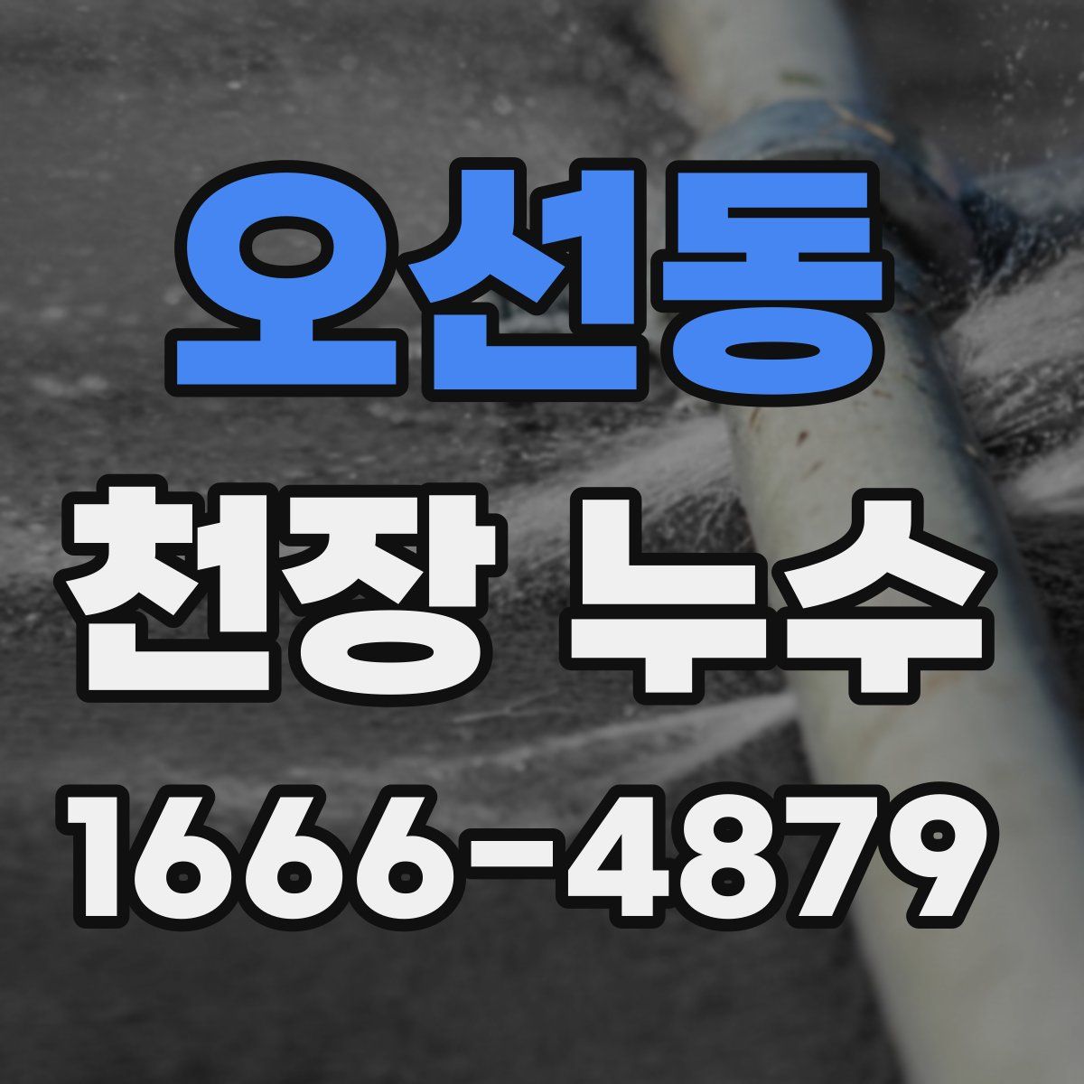 오선동 천장 누수