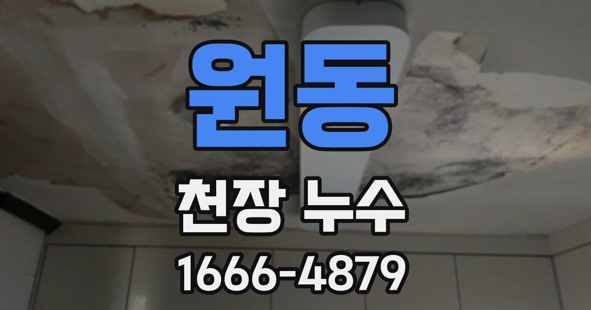 원동 천장 누수