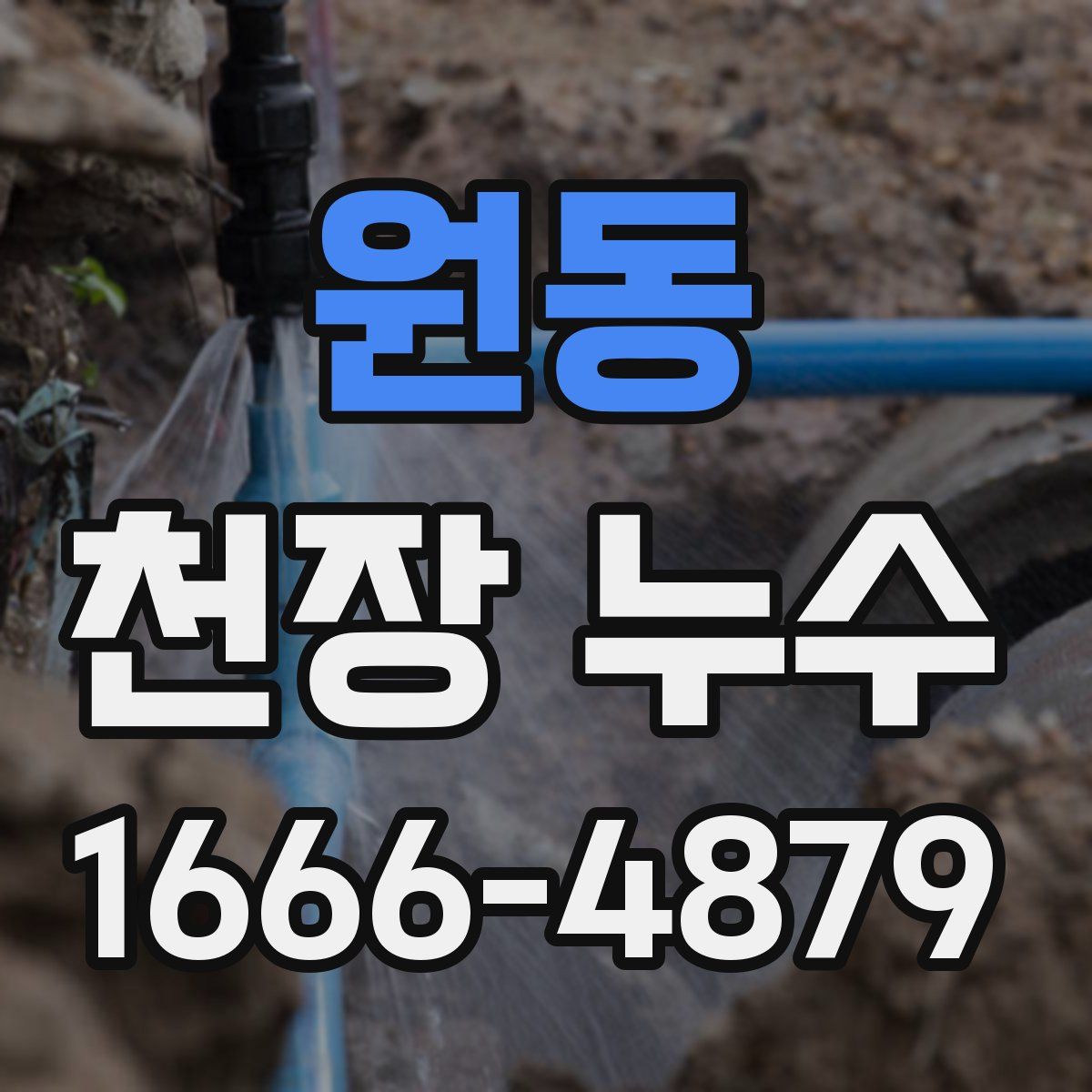 원동 천장 누수