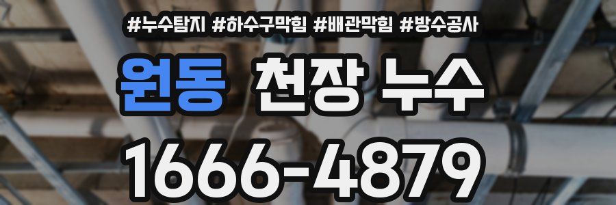 원동 천장 누수