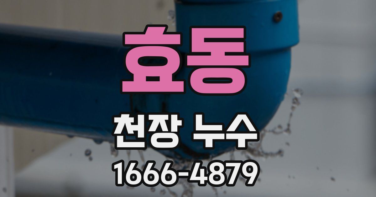 효동 천장 누수