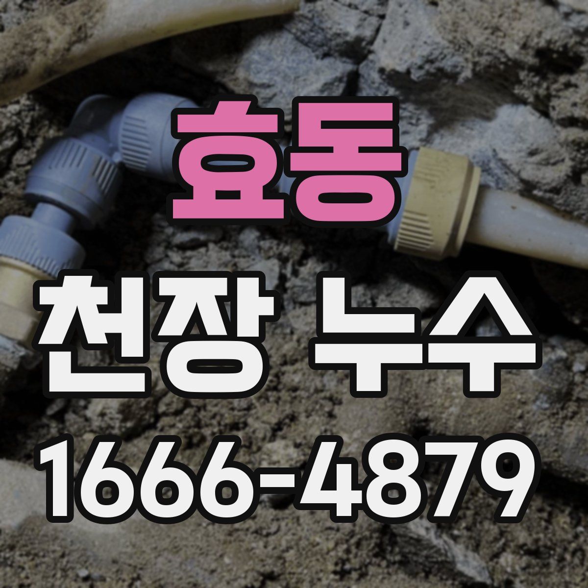효동 천장 누수
