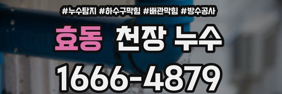 효동 천장 누수