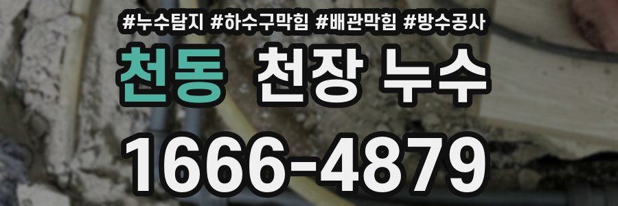 천동 천장 누수