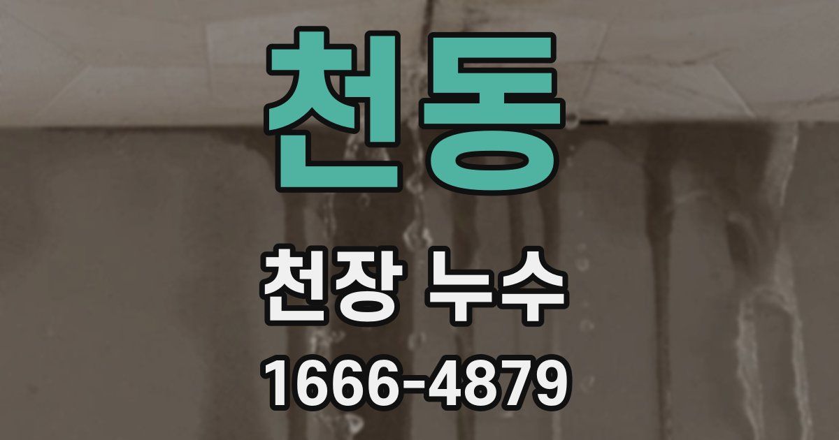 천동 천장 누수