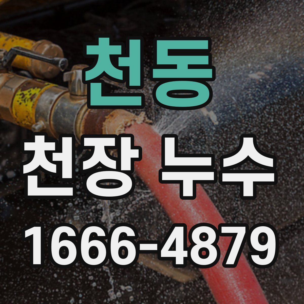 천동 천장 누수
