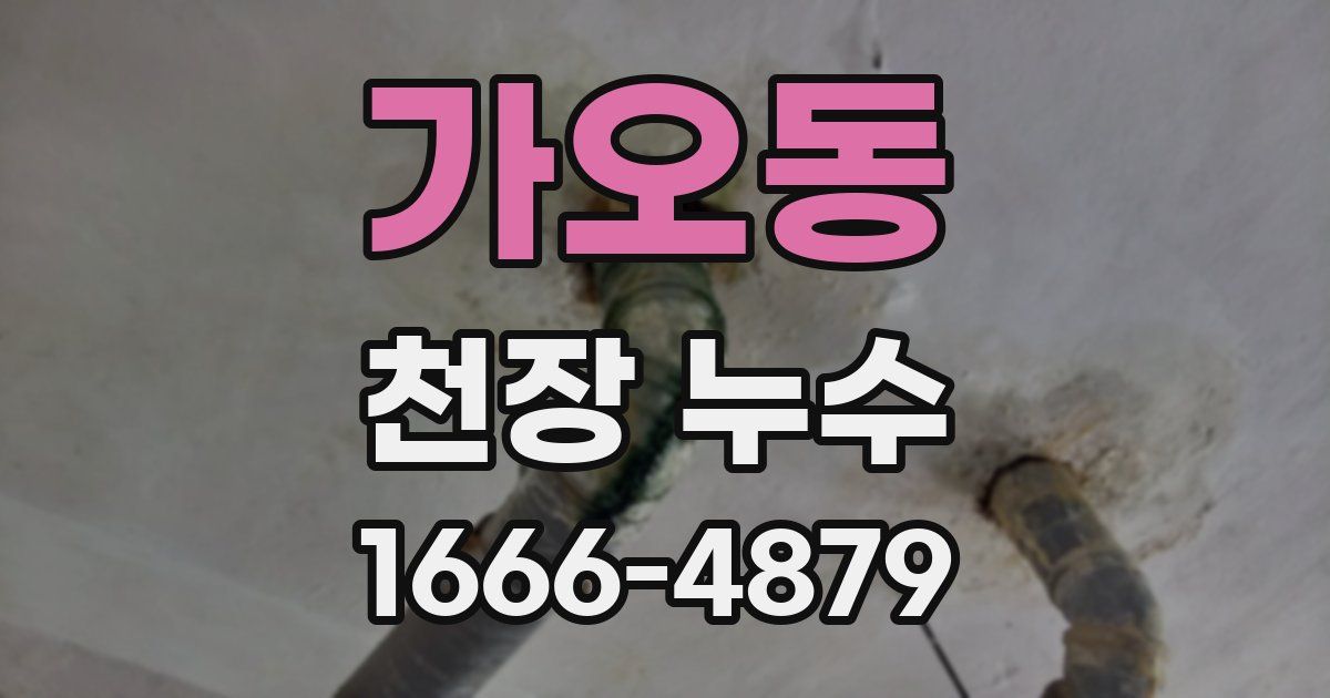 가오동 천장 누수
