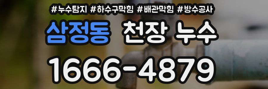 삼정동 천장 누수