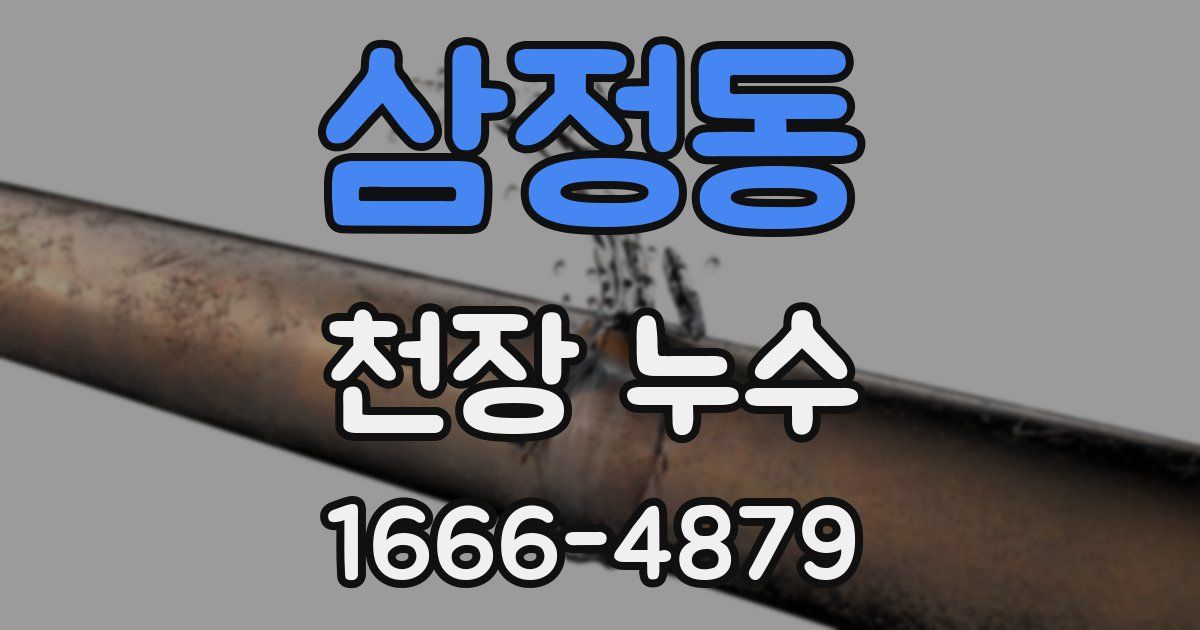 삼정동 천장 누수