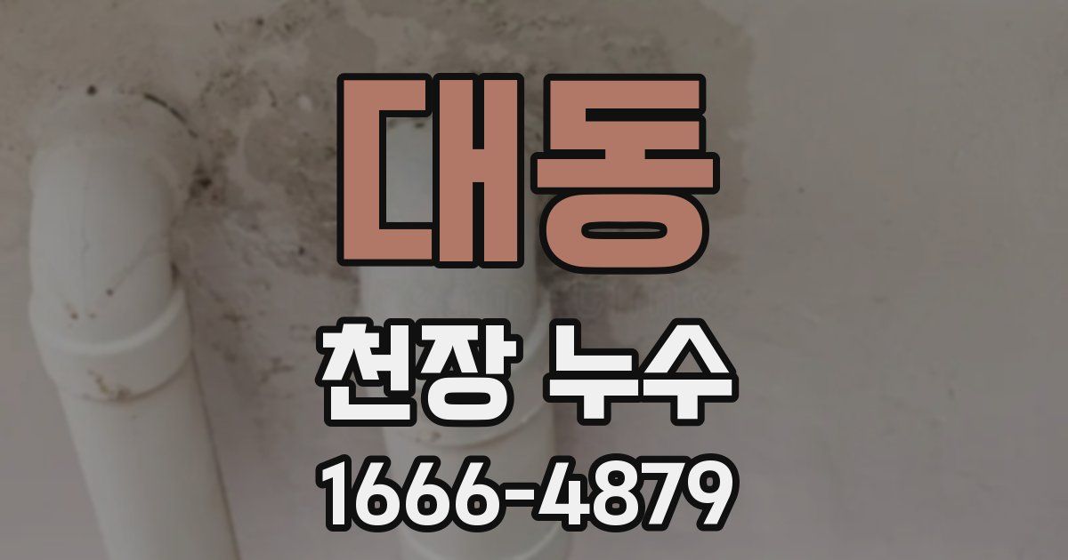 대동 천장 누수
