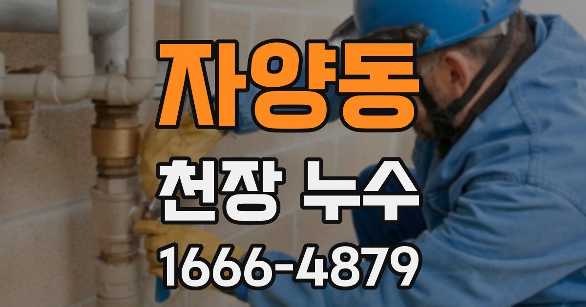 자양동 천장 누수