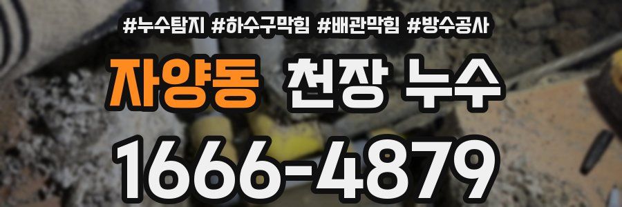 자양동 천장 누수