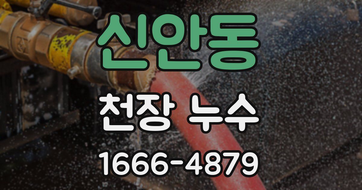 신안동 천장 누수