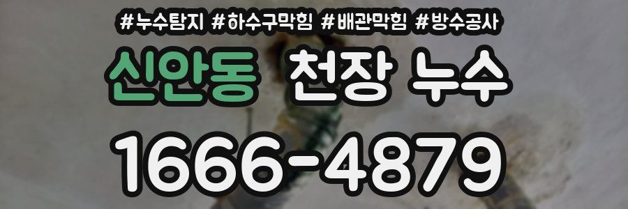 신안동 천장 누수