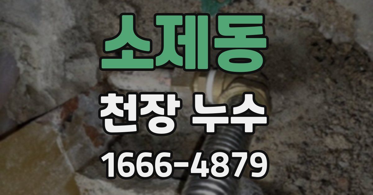 소제동 천장 누수