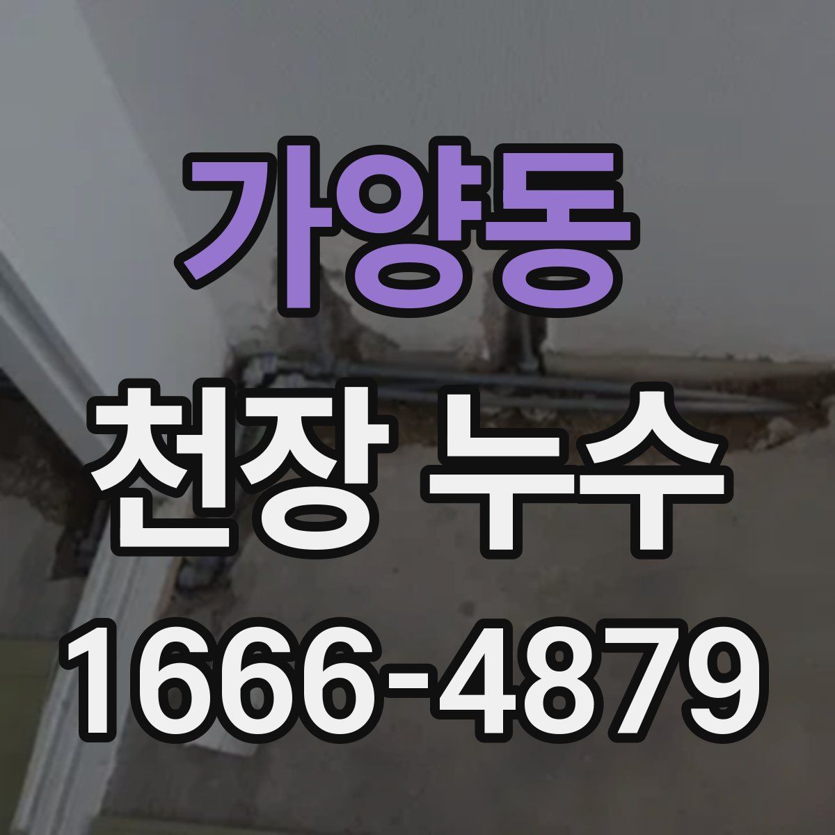 가양동 천장 누수