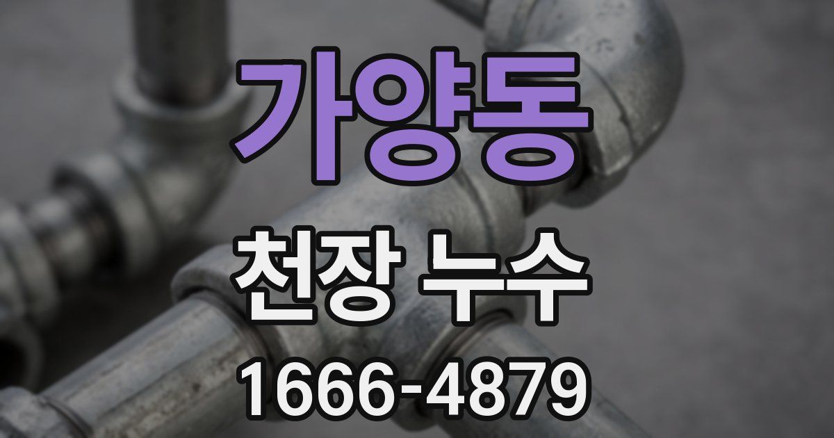 가양동 천장 누수
