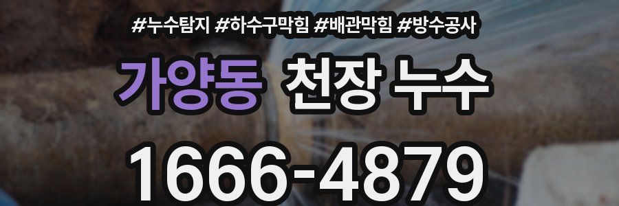 가양동 천장 누수