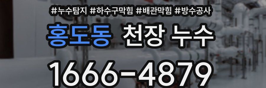 홍도동 천장 누수