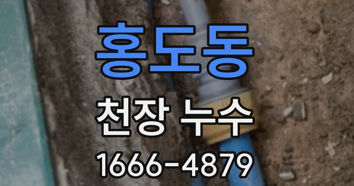 홍도동 천장 누수
