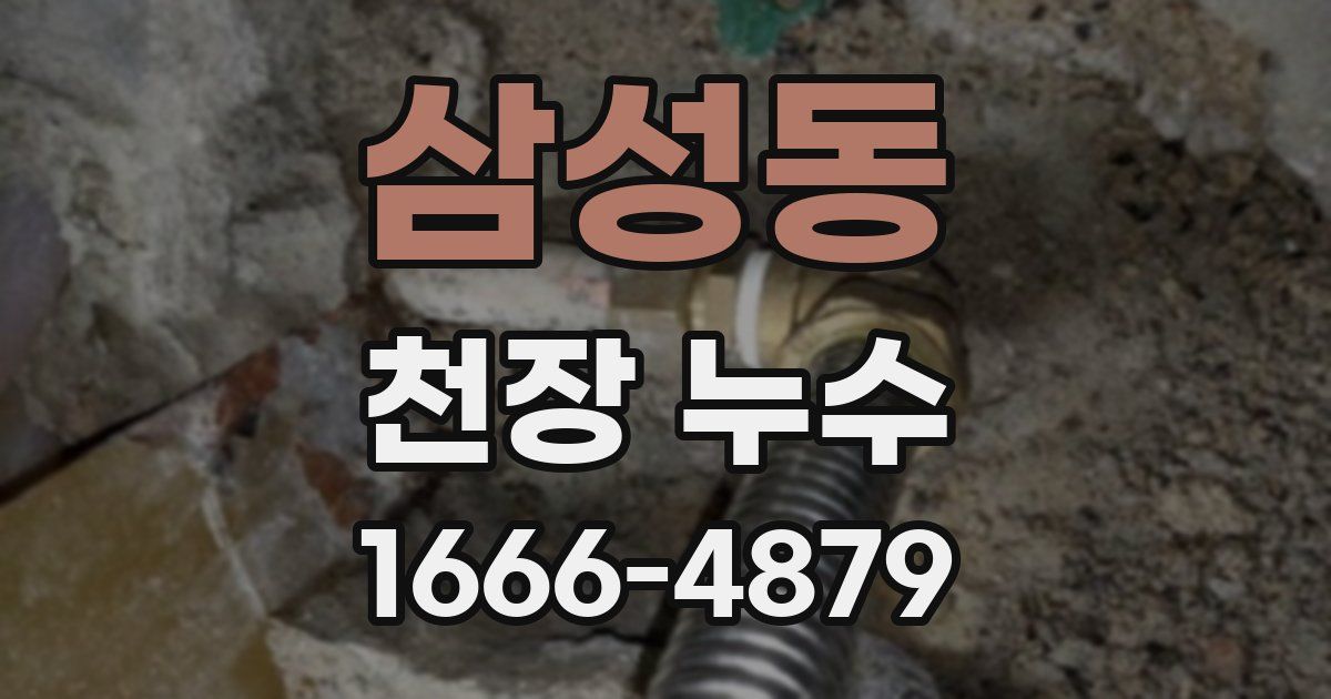 삼성동 천장 누수