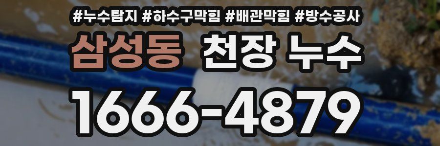 삼성동 천장 누수