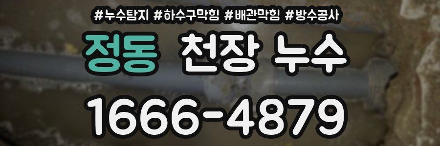 정동 천장 누수